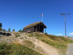 loepi