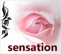 sensation88