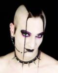 Chauve_Souris