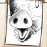 Schafconny
