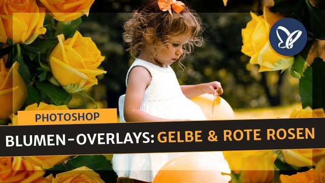 Texturen in Photoshop: Freigestellte Rosen auf Fotos einarbeiten