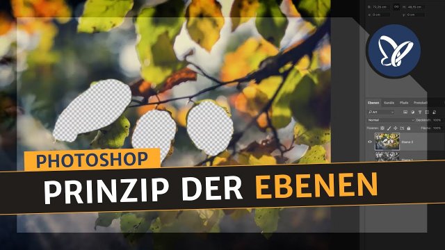Photoshop-Grundlagen (Tutorial): Ebenen verstehen